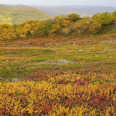 Lapinkylae Πάρκο διακοπών