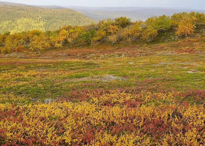 Lapinkylae ホリデーパーク