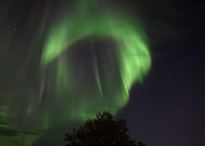 Lapinkylae اتسجوكي