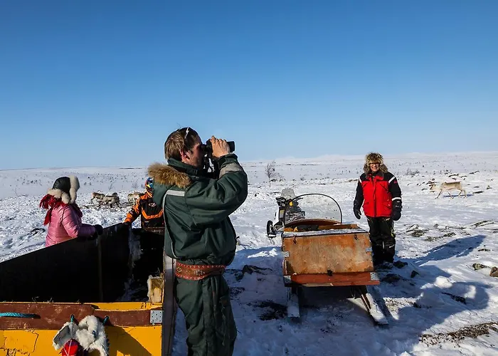 Lapinkylae منتزه العطل